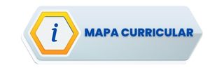 Mapa Curricular Licenciatura